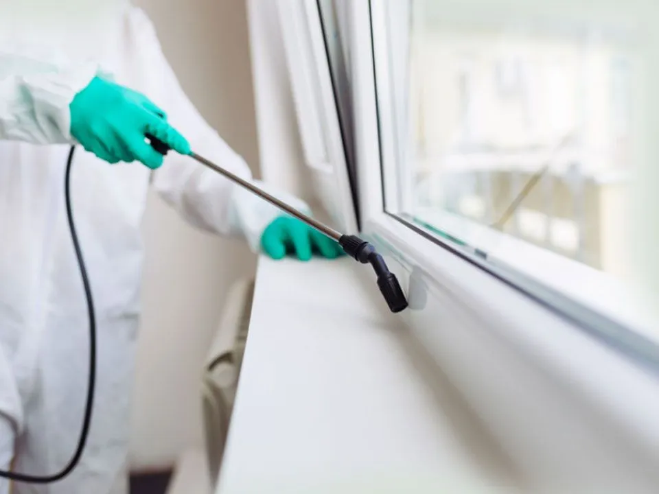 bergs-Animal-and-bug-control-content-about-03-ed35f697-1920w